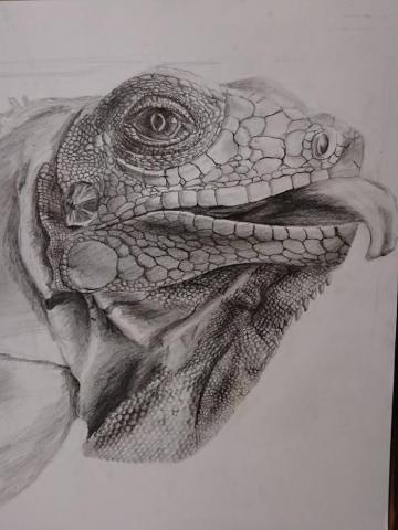 朱宇明 - 寫實素描課示範
八開