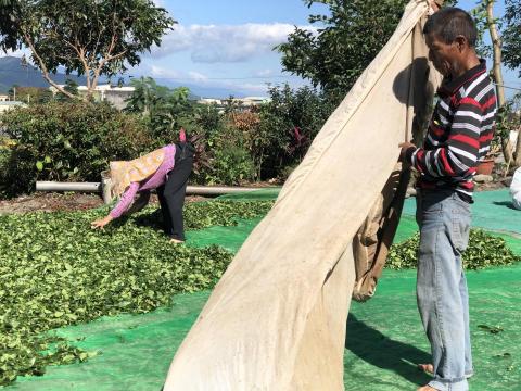 金金 Mavis Hsieh - 可以協助客戶拍攝 工作形象照