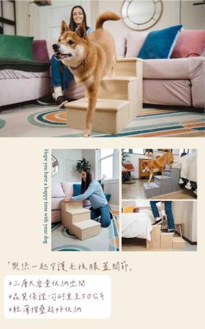 行銷小編｜美編｜Line設計｜文案企劃｜ - 