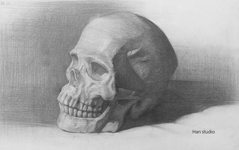 Han studio  邱柏翰 - 頭骨素描課堂示範