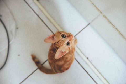 林凡軍 IG:fann.photo_ - 