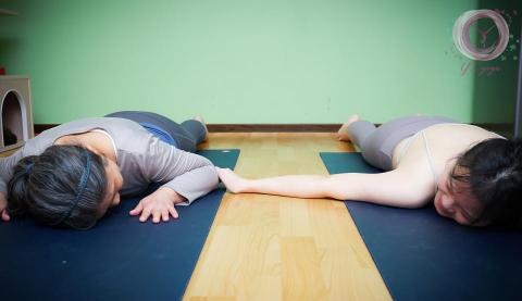 YTYOGA - 