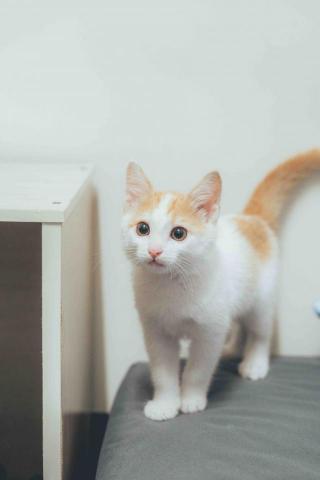 林凡軍 IG:fann.photo_ - 