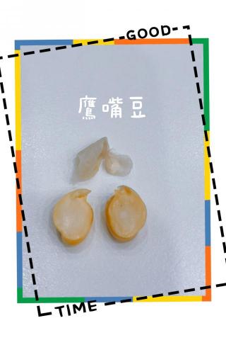 Dana - 跨學科實務-介紹植物構造。