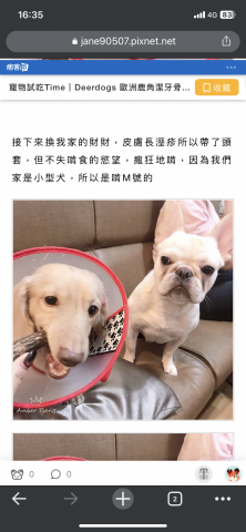 曾家珍 - 寵物用品體驗文