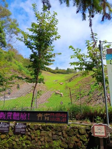 包車逗逗遊 - 清境農場