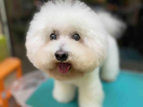 孫佳寧 - 專業、細心、客製化。