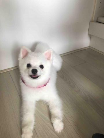 提供寫文章服務的專家Cynthia