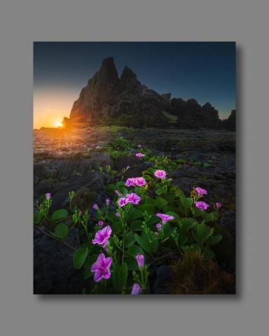 jia_photographer - 綠島