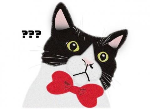 Kelly Liao - 動物插畫