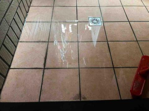 伊凡巫芭 - 消毒前