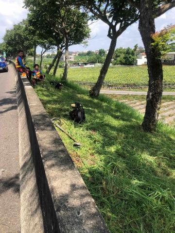 提供割草服務的專家自家