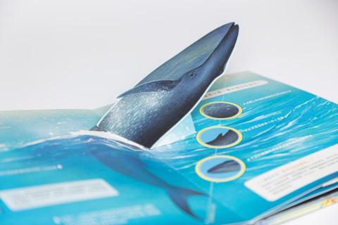 Eden - 立體書插畫、排版