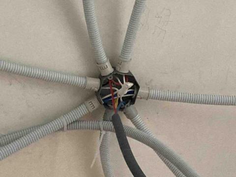 李柏賢（小派） - 