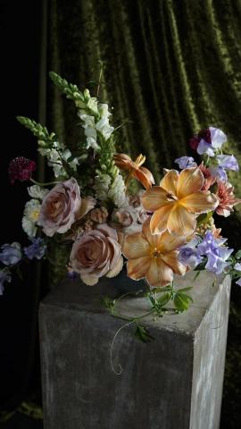 Abigail  - 海綿桌花