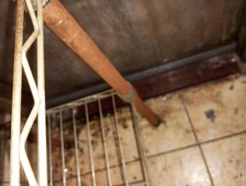 嘉澤滅鼠封堵防治工程 - 滅鼠後門鋁板安裝 嘉澤滅鼠封堵防治工程 - 滅鼠後門鋁板安裝