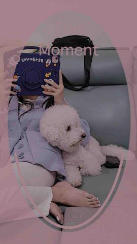 ㄚ莓-三重區周邊寵物保姆 - 我是Bemo！是黏黏糖～有分離焦慮，愛跑跑跳跳，有社恐因為我很少出門跟狗狗交流，是朋友的狗狗