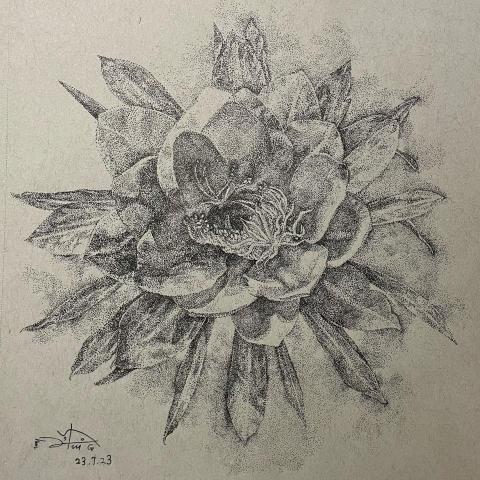 蘇淳慧 - 繪畫作品-花卉