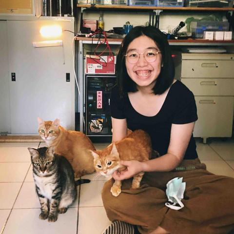 Joys -  長期照顧的三隻貓咪，飛飛甜甜跟橘寶