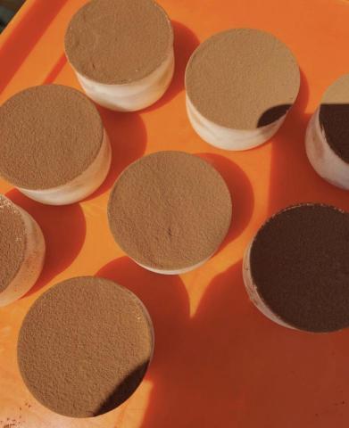 陳思璇 - 提拉米蘇