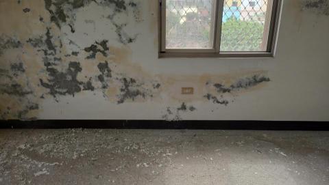 安啟工程有限公司 - 壁癌處理