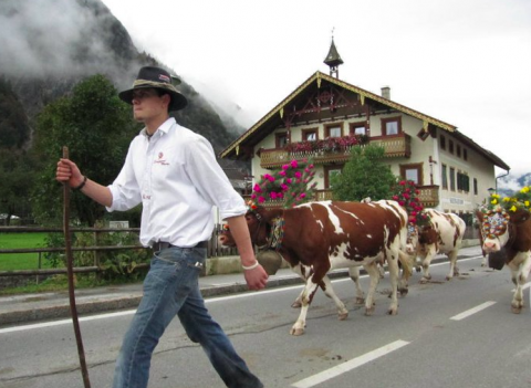 Mei-英文家教 - 瑞士自助旅行