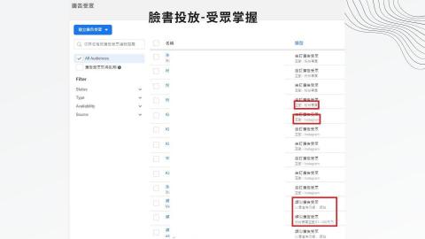 簡Dan營銷 丹丹 - 臉書受眾抓取