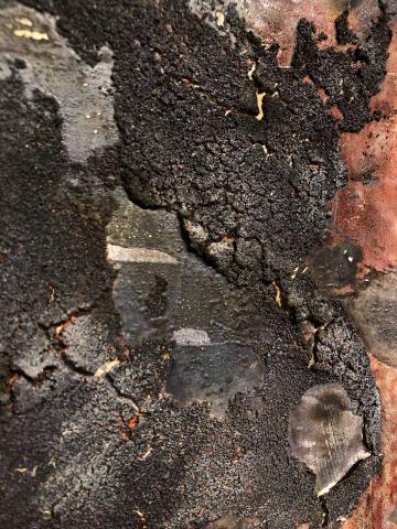 黃品睿 - 複合媒材油畫局部