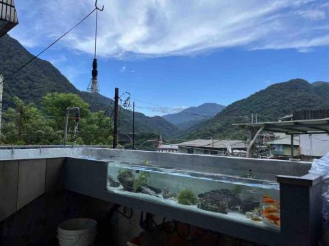 木鳥小築 - 魚缸完工照
