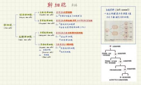 蔡楚翊 - 生物筆記