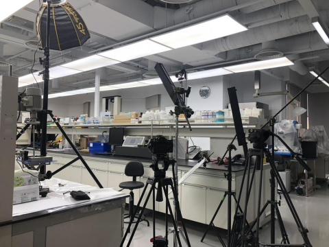 陳姿彤 Edith Chen - 