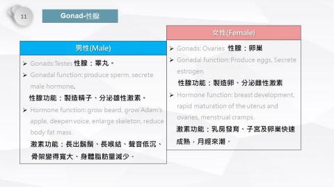 Chris政諺 - 作品二