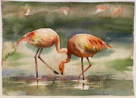 Jasmine老師 - 水彩