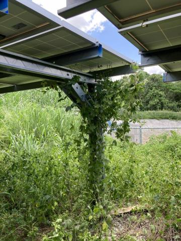 仰晴光能源科技 - 仰晴光光電模組區域環境除草
太陽能電力系統巡檢維修
仰晴光光電模組區域環境除草
太陽能電力系統巡檢維修 仰晴光能源科技 - 仰晴光光電模組區域環境除草
太陽能電力系統巡檢維修
仰晴光光電模組區域環境除草
太陽能電力系統巡檢維修