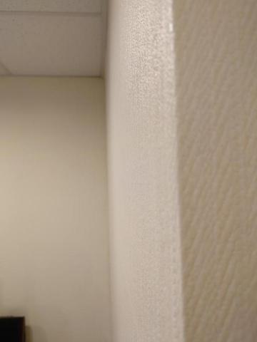 星創藝家飾小安 - 