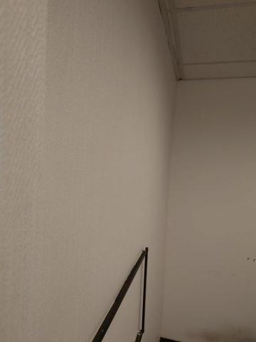 星創藝家飾小安 - 