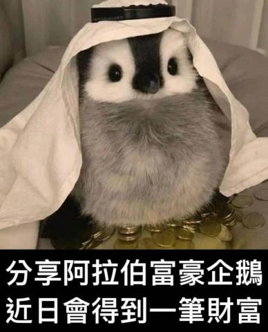 提供綠家俱服務的專家小小綠