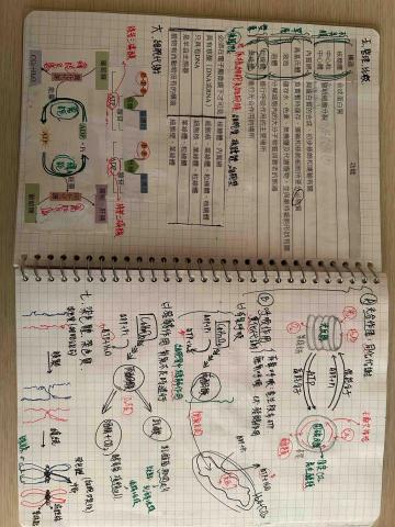 ANSON - 生物筆記