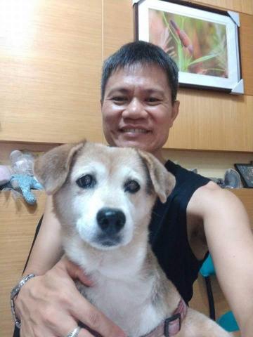 黑馬小型寵物寄養及溜狗服務 - 