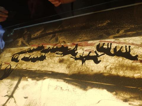 小魚老師 - 製作沙和剪影動畫 小魚老師 - 製作沙和剪影動畫