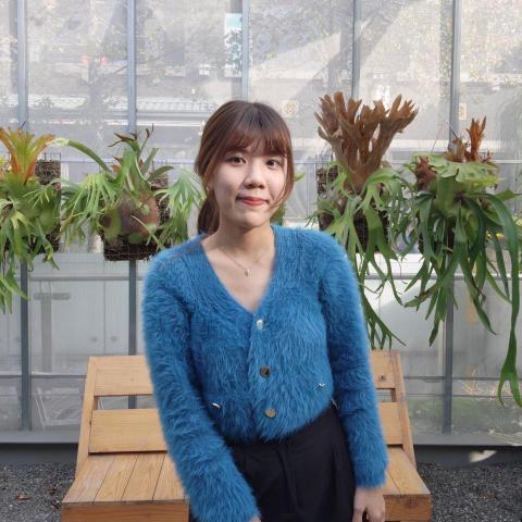 提供deeplpro破解服務的專家陳思穎