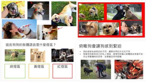 潔西卡的訓犬教室 - 狗狗在說話：看懂狗的肢體語言