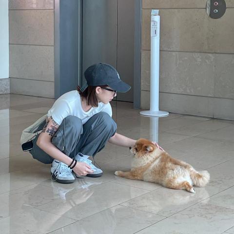 提供寄養狗服務的專家liz LIN