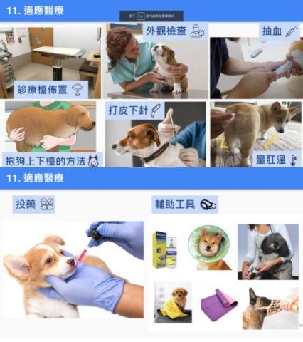 潔西卡的訓犬教室 - 適應醫療：Fear Free 美國零恐懼醫療