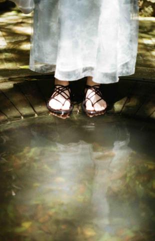 魏睿辰 -  魏睿辰 -