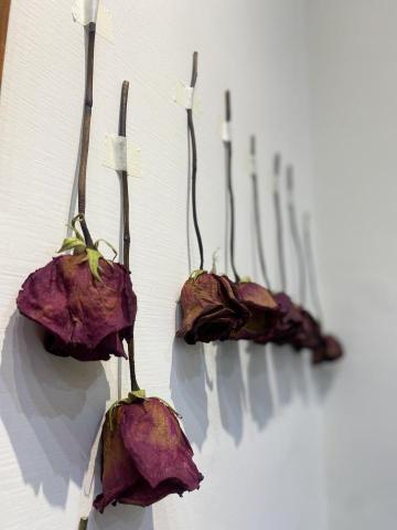 阿清老師 - 攝影