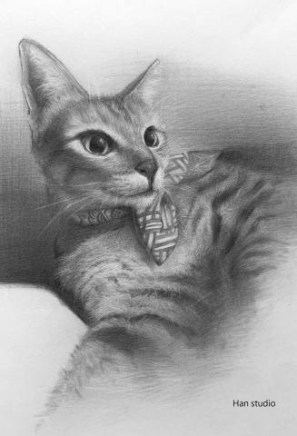 Han studio  邱柏翰 - 毛皮質感課堂示範練習