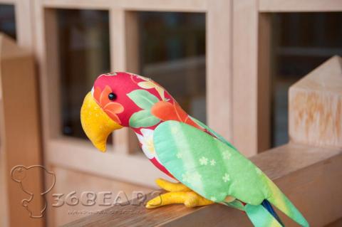 Jamie Chen - 布鸚鵡 Jamie Chen - 布鸚鵡