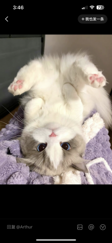 提供保姆服務的專家王彥植