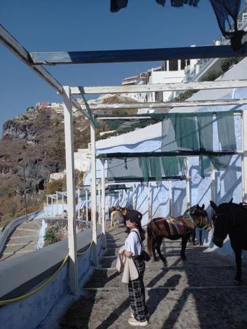 周怡瑄 - 聖托里尼的驢子古道